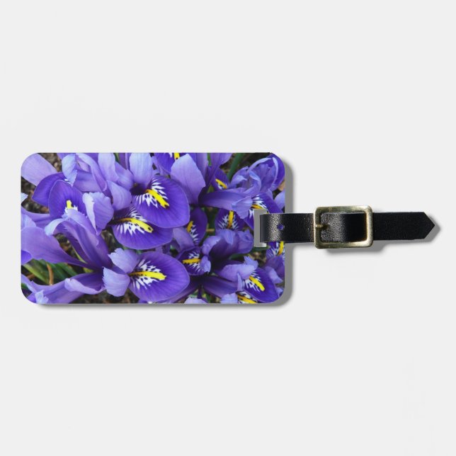 Miniatur Blue Irises Frühblut Gepäckanhänger (Vorderseite horizontal)