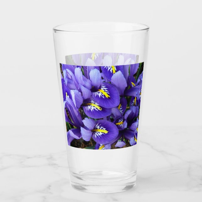 Miniatur Blue Irises Frühblut Glas (Vorderseite)