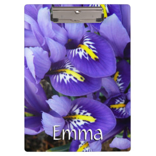 Miniatur Blue Irises Frühblut Klemmbrett