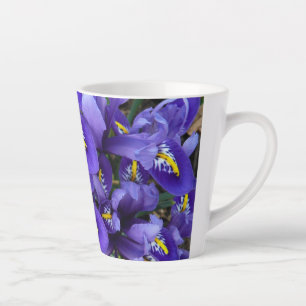 Miniatur Blue Irises Frühblut Milchtasse