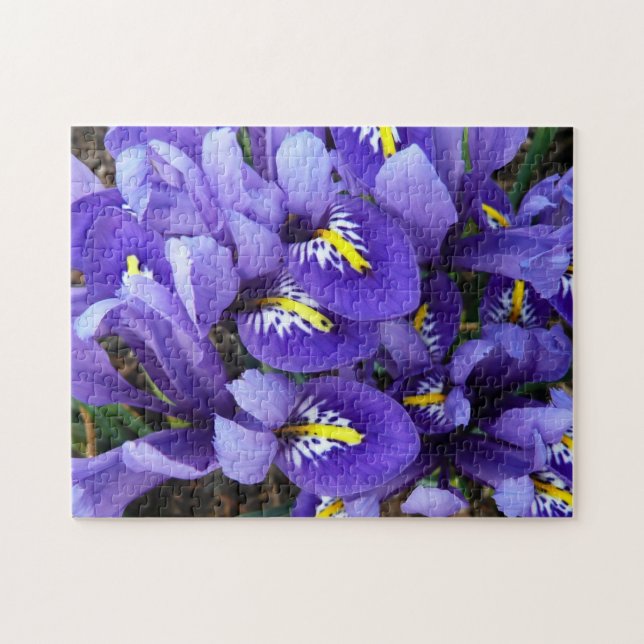 Miniatur Blue Irises Frühblut Puzzle (Horizontal)