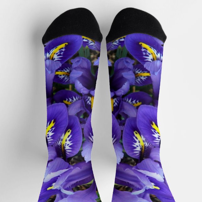 Miniatur Blue Irises Frühblut Socken (Oben)