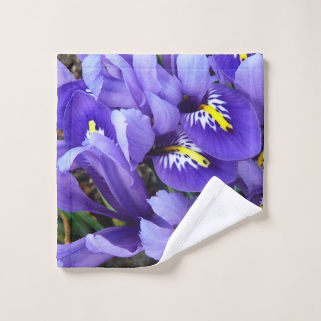 Miniatur Blue Irises Frühblut Waschlappen (Waschlappen)