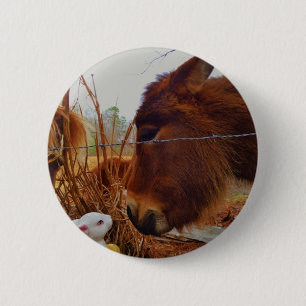 Miniatur Brown Pferd & Ostersonne Button