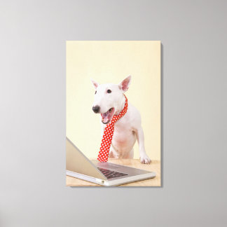 Miniatur Bull Terrier mit Blick auf Laptop, Leinwanddruck