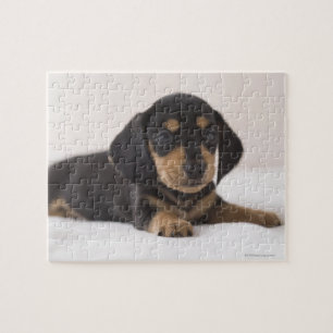 Miniatur-Dackel Puzzle