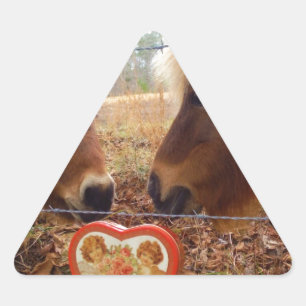 Miniatur Donkey & Horse Herzstück Dreieckiger Aufkleber