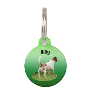 Miniatur Fox Terrier Alert, Pet Tag Haustiermarke