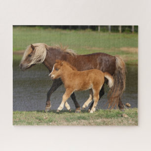 Miniatur Mare and Foal Walking am See Puzzle