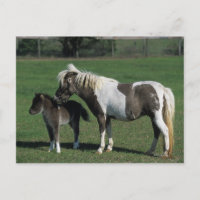 Miniatur-Mare & Foal-Stehend