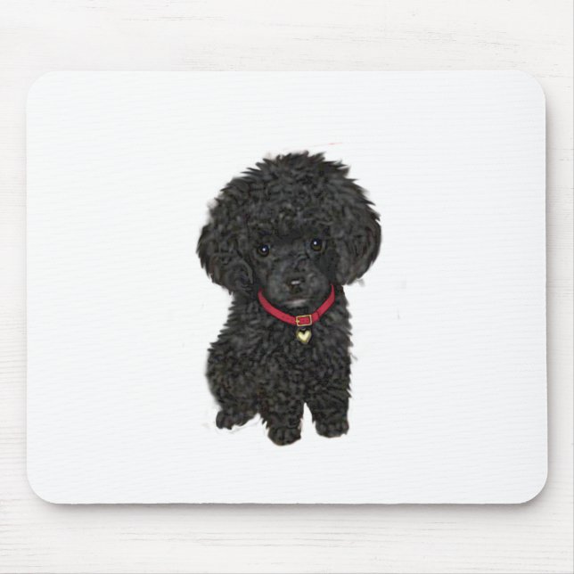 Miniatur- oder Spielzeugpoodle - Schwarz 1 Mousepad (Vorne)