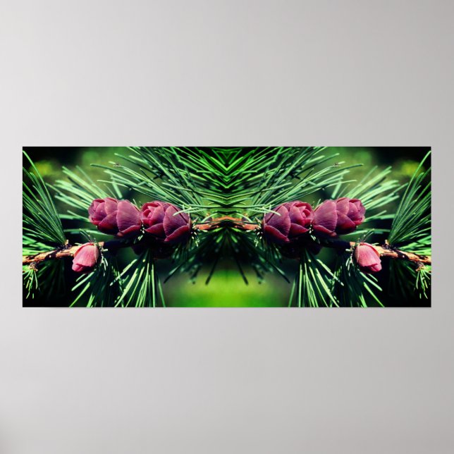 Miniatur Pine Cones Mirror Abstrakt Poster (Vorne)