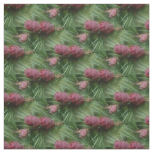 Miniatur Pine Cones Nattern Muster Stoff