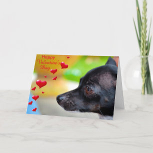 Miniatur Pinscher Happy Valentine's Day Card Feiertagskarte