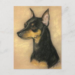 Miniatur Pinscher Hund Postkarte