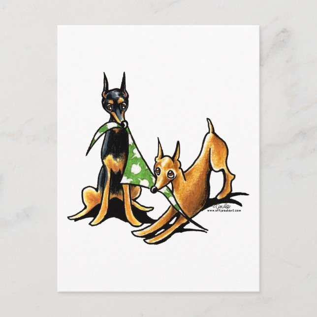 Miniatur Pinscher n Äpfel Postkarte (Vorderseite)