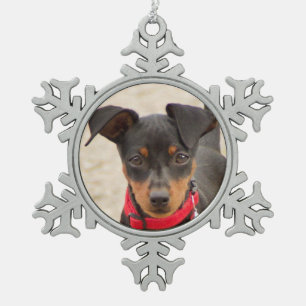 Miniatur-Pinscher-Schwarz und Rost Schneeflocken Zinn-Ornament