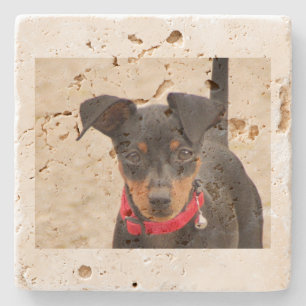 Miniatur-Pinscher-Schwarz und Rost Steinuntersetzer