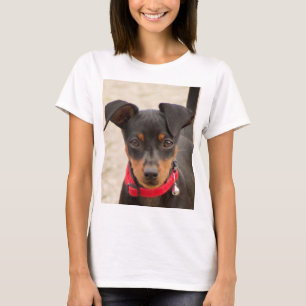 Miniatur-Pinscher-Schwarz und Rost T-Shirt