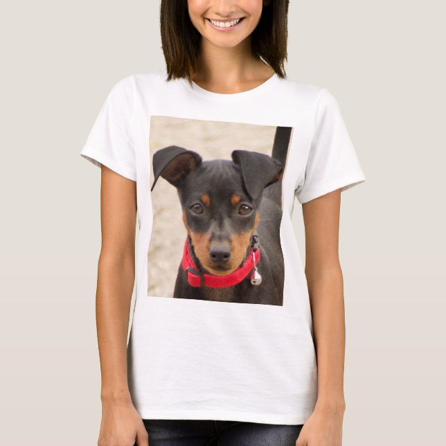 Miniatur-Pinscher-Schwarz und Rost T-Shirt (Vorderseite)