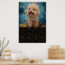 Miniatur-Pudel 2026 Kalender Poster