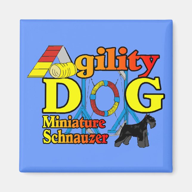 Miniatur_Schnauzer_Agility Magnet (Vorne)