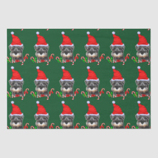 Miniatur-Schnauzer in Weihnachtsmannmütze-Gewebepa Seidenpapier