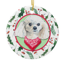 Miniatur White Poodle Holly Border