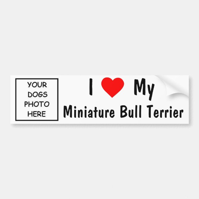 MiniaturBullterrier Autoaufkleber (Vorne)