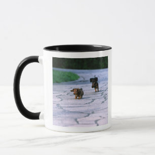 MiniaturDackel 3 Tasse