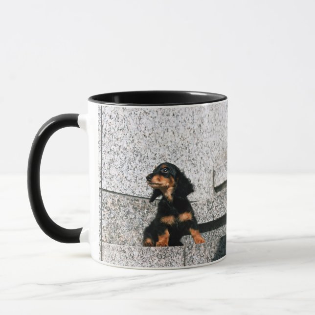 MiniaturDackel 4 Tasse (Links)