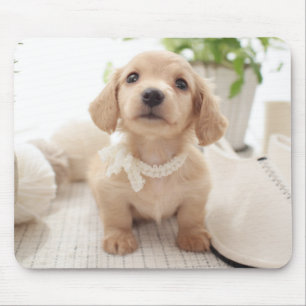 MiniaturDackel Mousepad
