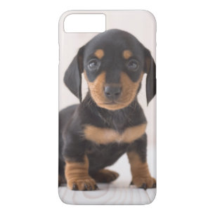 MiniaturDackel-Sitzen Case-Mate iPhone Hülle