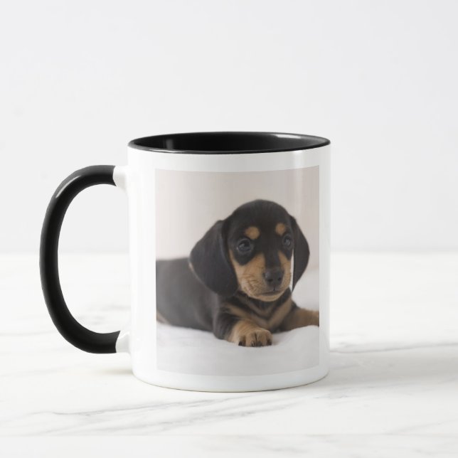 MiniaturDackel Tasse (Links)