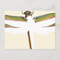 Miniaturdrachenfliege im weißen Hintergrund