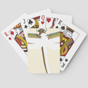 Miniaturdrachenfliege im weißen Hintergrund Spielkarten