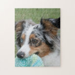 Miniature American Sepherd Blue Merle Puzzle<br><div class="desc">Weihnachten</div>
