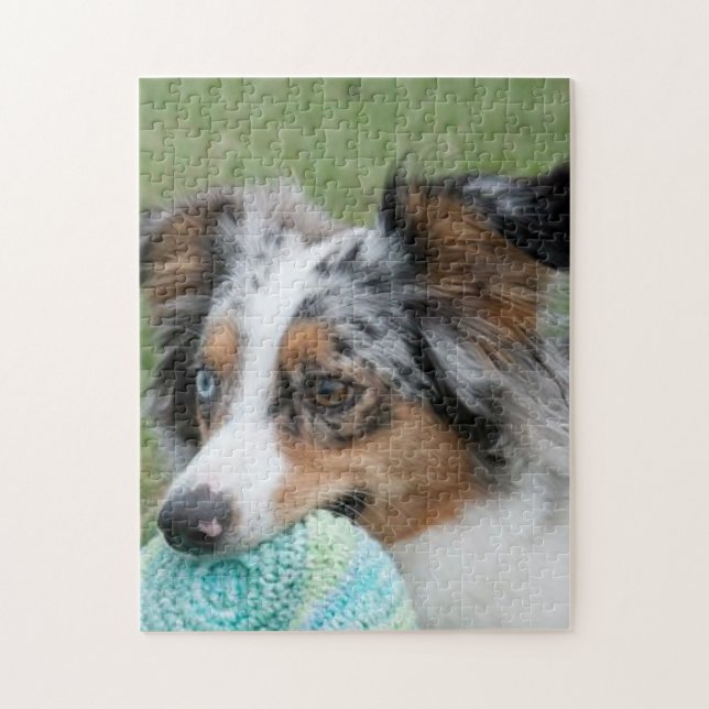 Miniature American Sepherd Blue Merle Puzzle (Vertikal)