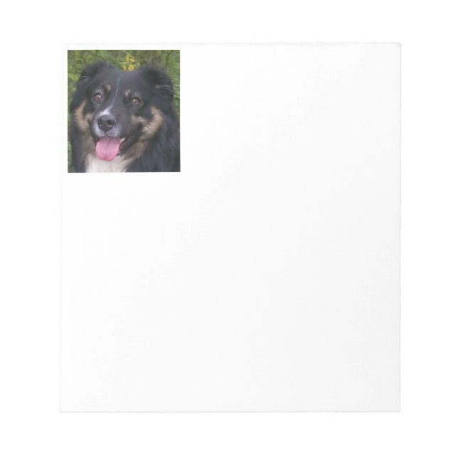 Miniature American Shepherd Black Tri Notizblock (Vorderseite)
