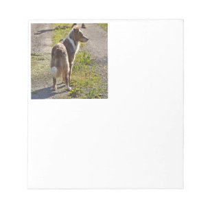 Miniature American Shepherd Red Merle mit Schwanz Notizblock