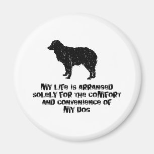 Miniature Australian Shepherd Magnet