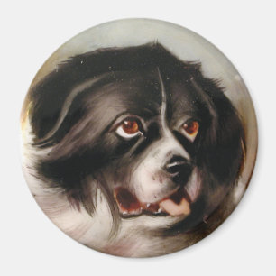 MINIATURE DOG PORTRAITS Neufundland Magnet