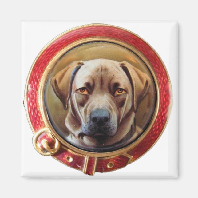MINIATURE DOG PORTRAITS Schokolade Labrador Magnet (Vorne)