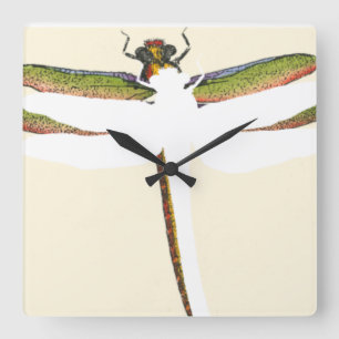 Miniature Dragonfly on White Background Quadratische Wanduhr