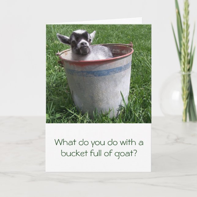 Miniature Goat in a Bucket Greeting Card Karte (Vorderseite)
