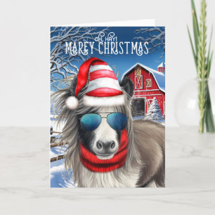 Miniature Horse Funny MAREy Weihnachten