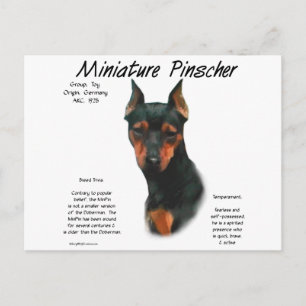 Miniature Pinscher (blk/rust) Historie Design Postkarte