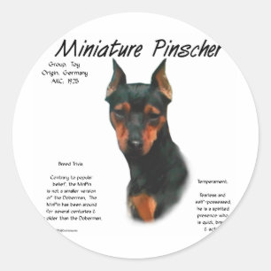 Miniature Pinscher (blk/rust) Historie Design Runder Aufkleber