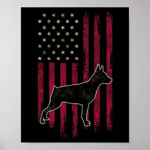 Miniature Pinscher Dog liebt amerikanische Flagge  Poster