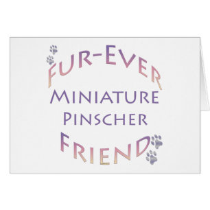 Miniature Pinscher Furever